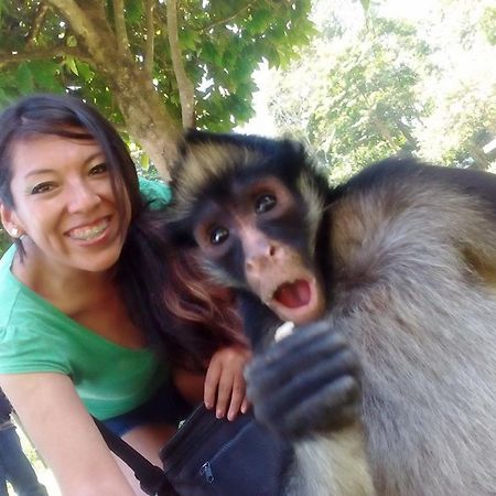 Avatar Amazon Lodge & Canopy Park Santa Teresa  ภายนอก รูปภาพ