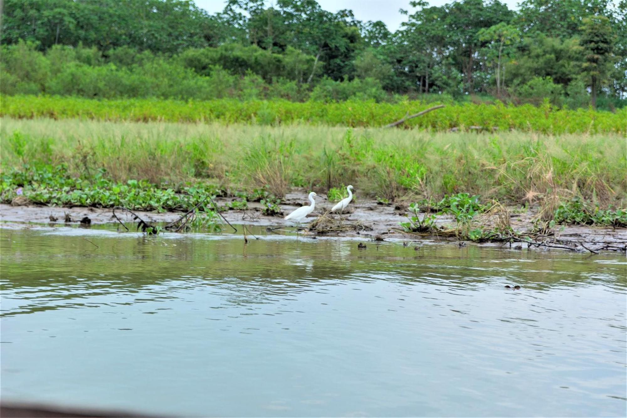 Avatar Amazon Lodge & Canopy Park Santa Teresa  ภายนอก รูปภาพ