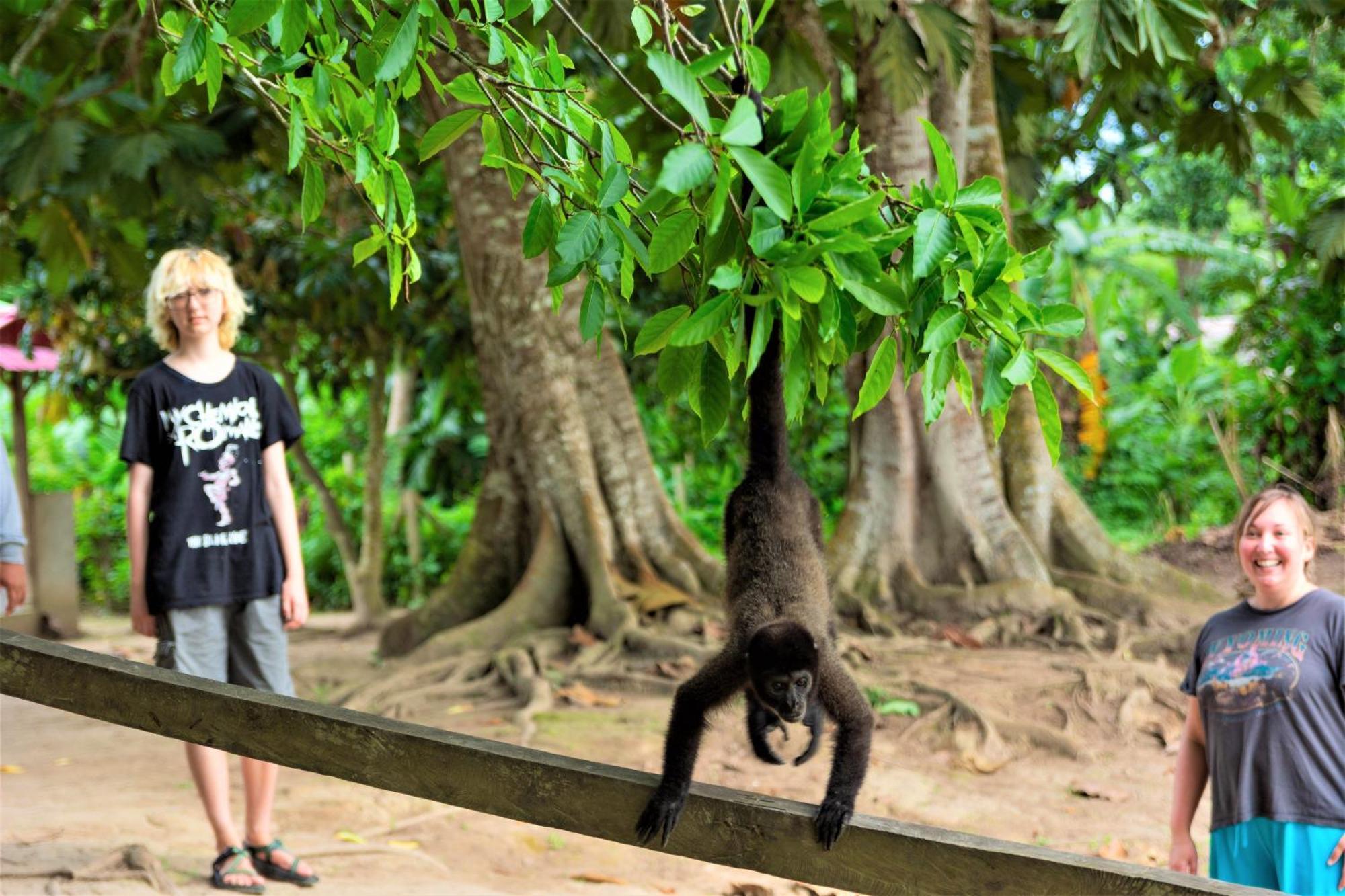 Avatar Amazon Lodge & Canopy Park Santa Teresa  ภายนอก รูปภาพ