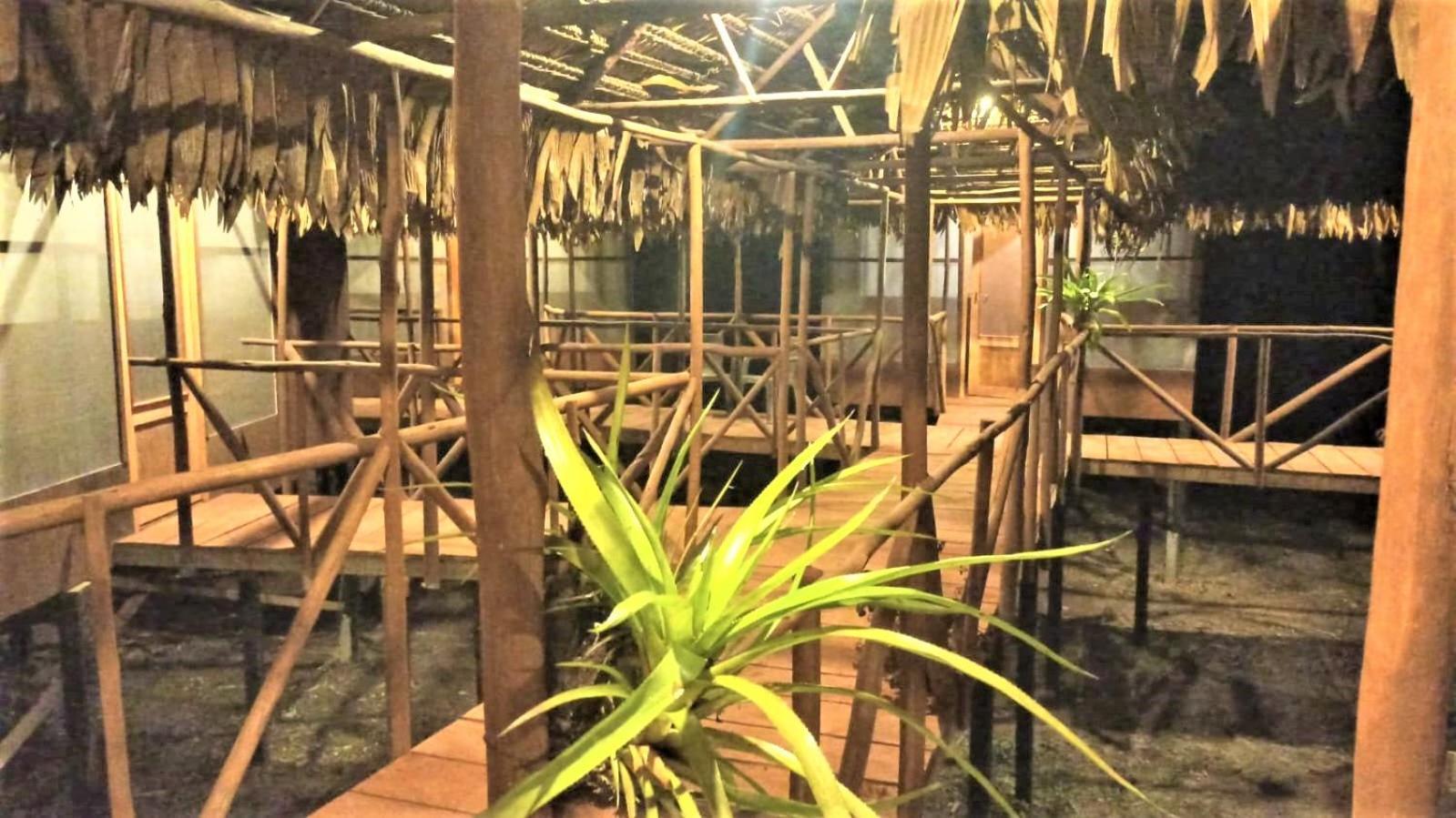 Avatar Amazon Lodge & Canopy Park Santa Teresa  ภายนอก รูปภาพ